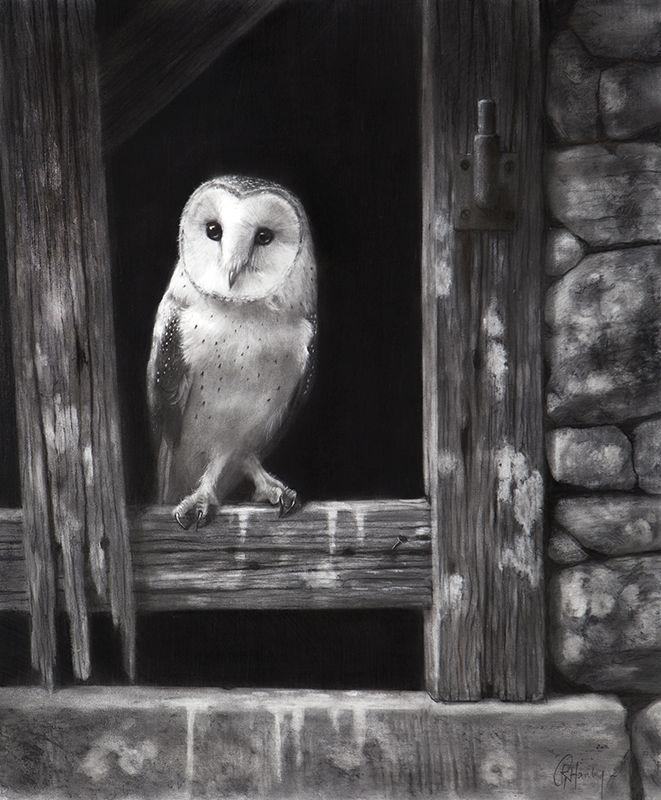 Night Bird